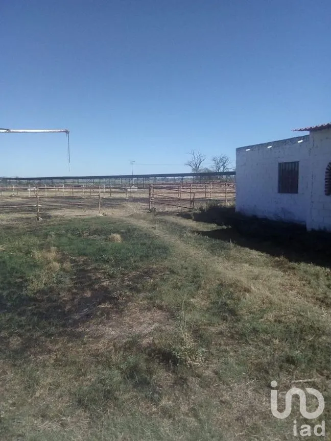Rancho en Venta en El Llano [CERESO], El Llano, Aguascalientes | NEX-187214 | iad México | Foto 8 de 29