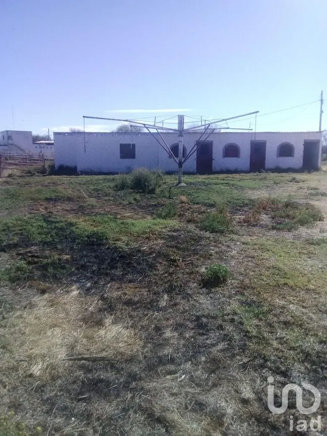 Rancho en Venta en El Llano [CERESO], El Llano, Aguascalientes | NEX-187214 | iad México | Foto 9 de 29