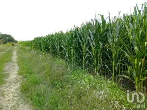 NEX-187214 - Rancho en Venta, con 1000 m2 de construcción en El Llano [CERESO], CP 20339, Aguascalientes.