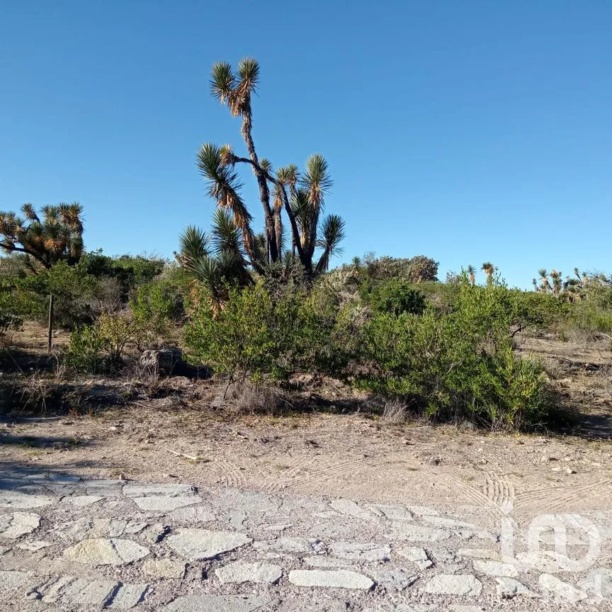 Terreno en Venta en La Escalera, Jesús María, Aguascalientes | NEX-193659 | iad México | Foto 11 de 21