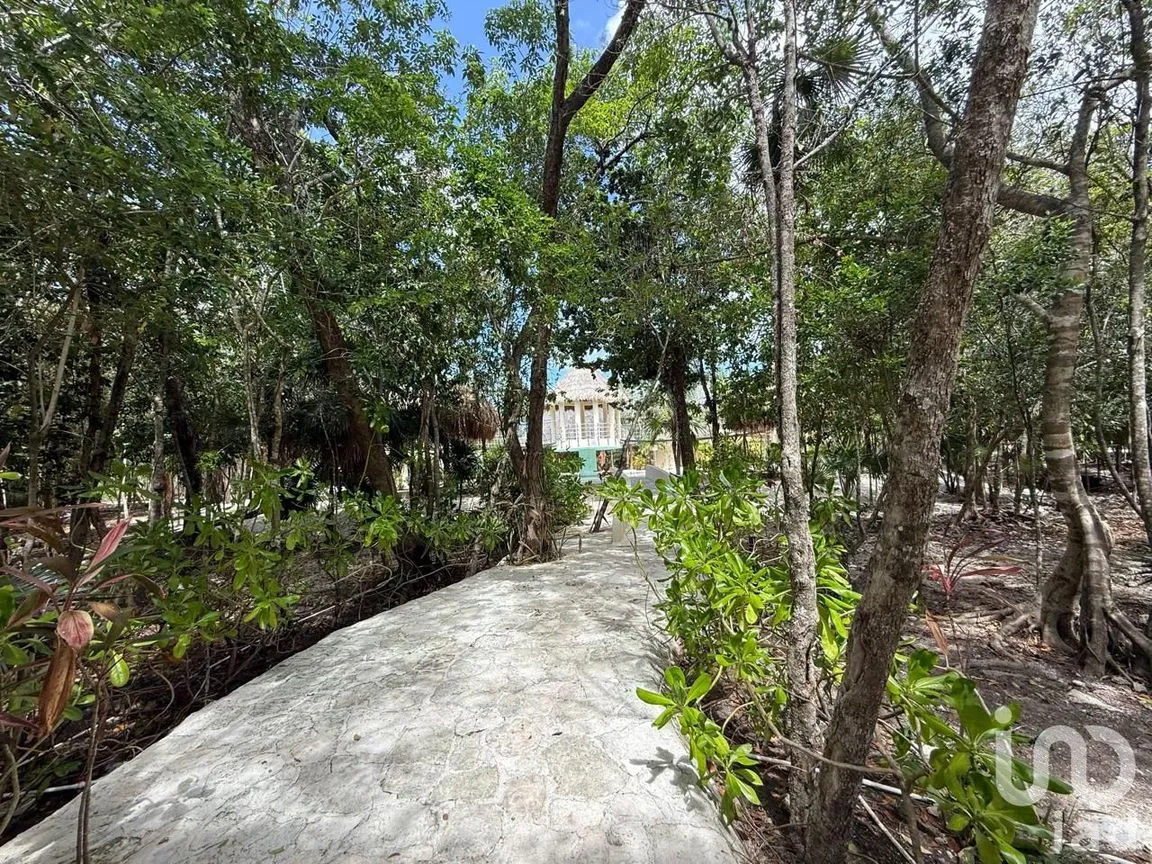 Terreno en Venta en Puerto Morelos, Puerto Morelos, Quintana Roo | NEX-243005 | iad México | Foto 14 de 21