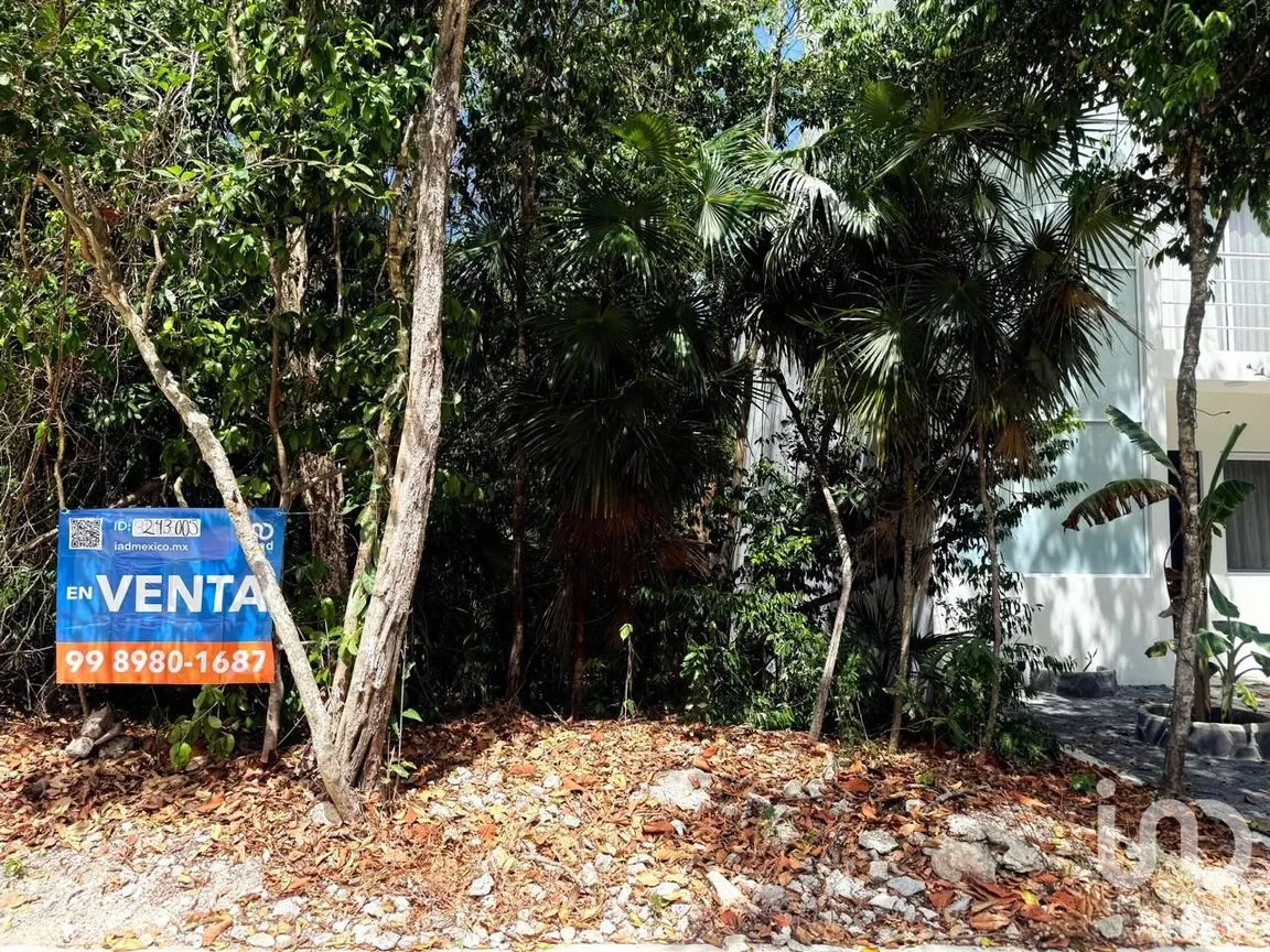 Terreno en Venta en Puerto Morelos, Puerto Morelos, Quintana Roo | NEX-243005 | iad México | Foto 16 de 21