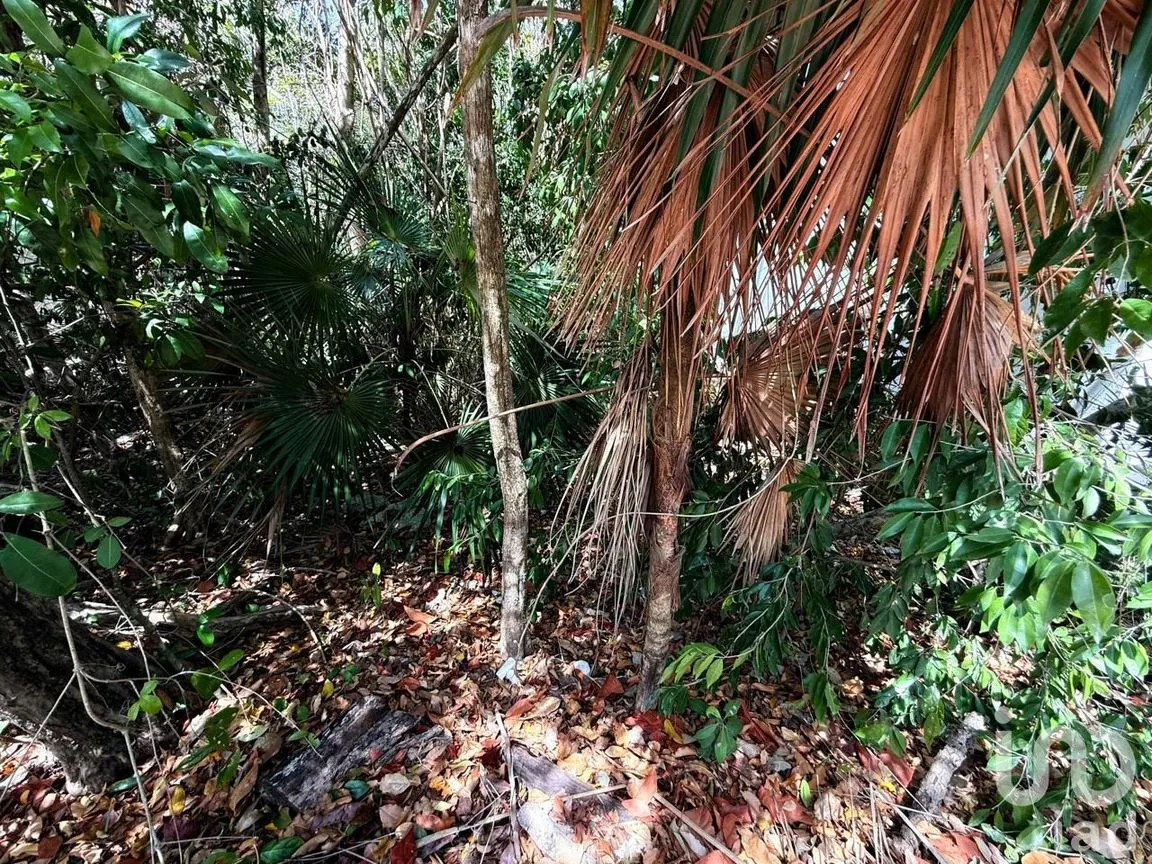 Terreno en Venta en Puerto Morelos, Puerto Morelos, Quintana Roo | NEX-243005 | iad México | Foto 19 de 21