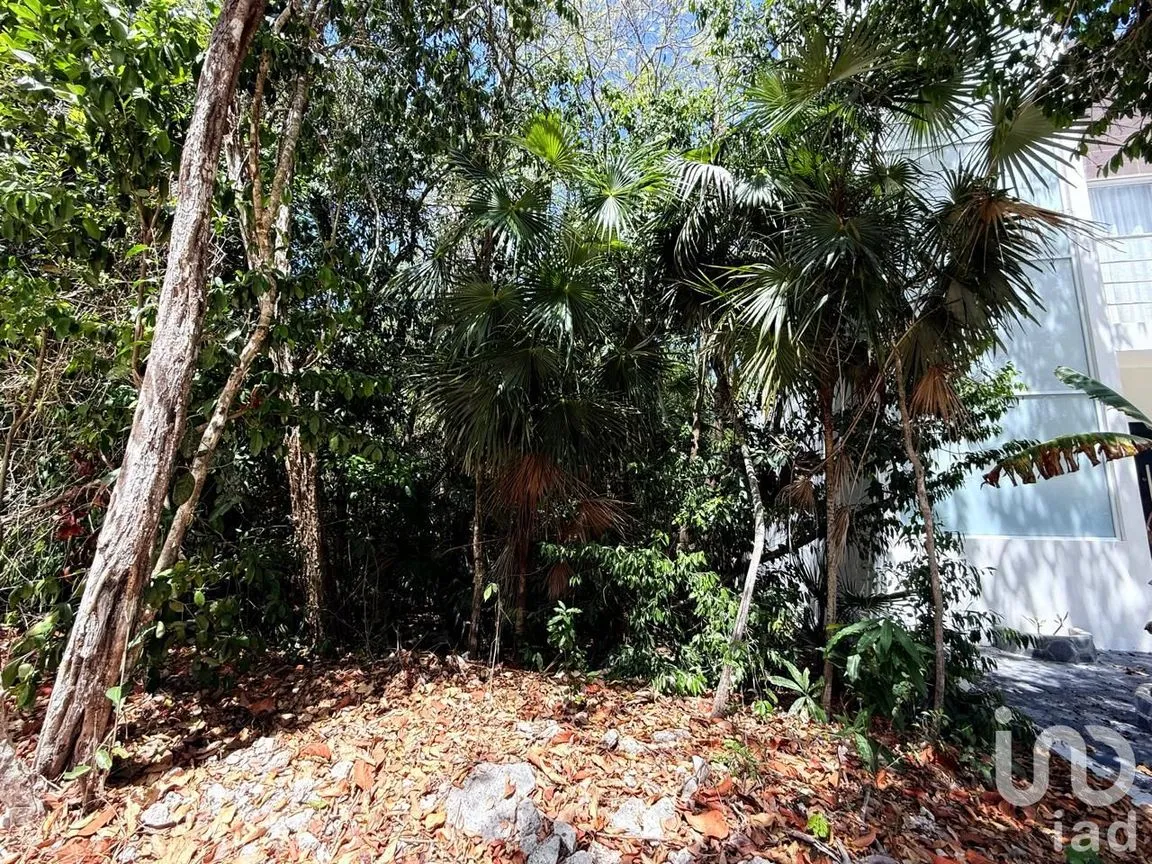 Terreno en Venta en Puerto Morelos, Puerto Morelos, Quintana Roo | NEX-243005 | iad México | Foto 20 de 21