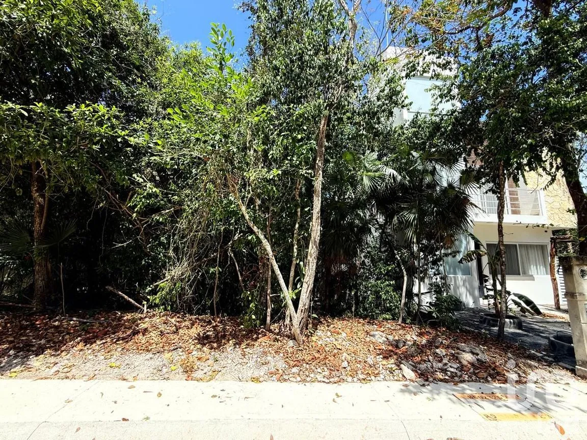 Terreno en Venta en Puerto Morelos, Puerto Morelos, Quintana Roo | NEX-243005 | iad México | Foto 21 de 21