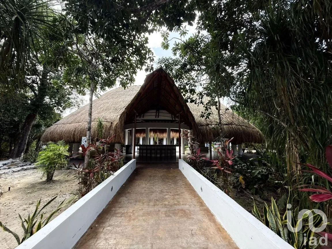 Terreno en Venta en Puerto Morelos, Puerto Morelos, Quintana Roo | NEX-243005 | iad México | Foto 5 de 21