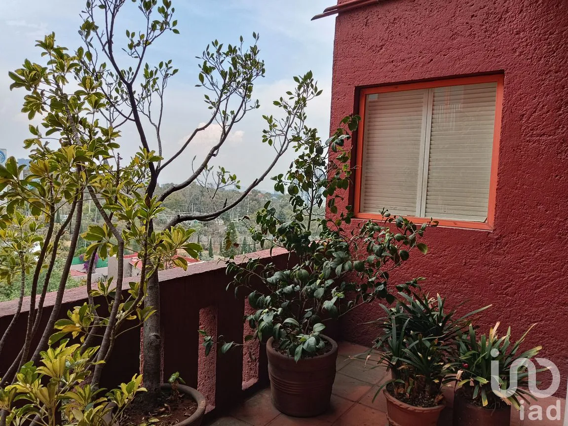 Departamento en Venta en Contadero, Cuajimalpa de Morelos, Ciudad de México | NEX-243452 | iad México | Foto 19 de 26