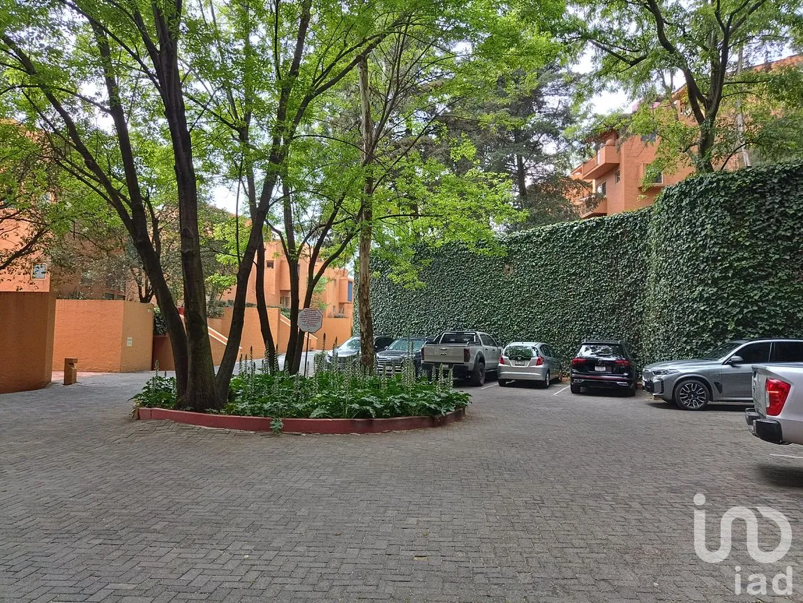 Departamento en Venta en Contadero, Cuajimalpa de Morelos, Ciudad de México | NEX-243452 | iad México | Foto 26 de 26