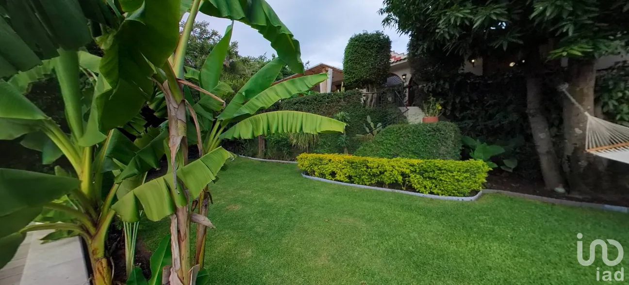 Casa en Venta en Alpuyeca, Xochitepec, Morelos | NEX-286802 | iad México | Foto 8 de 24