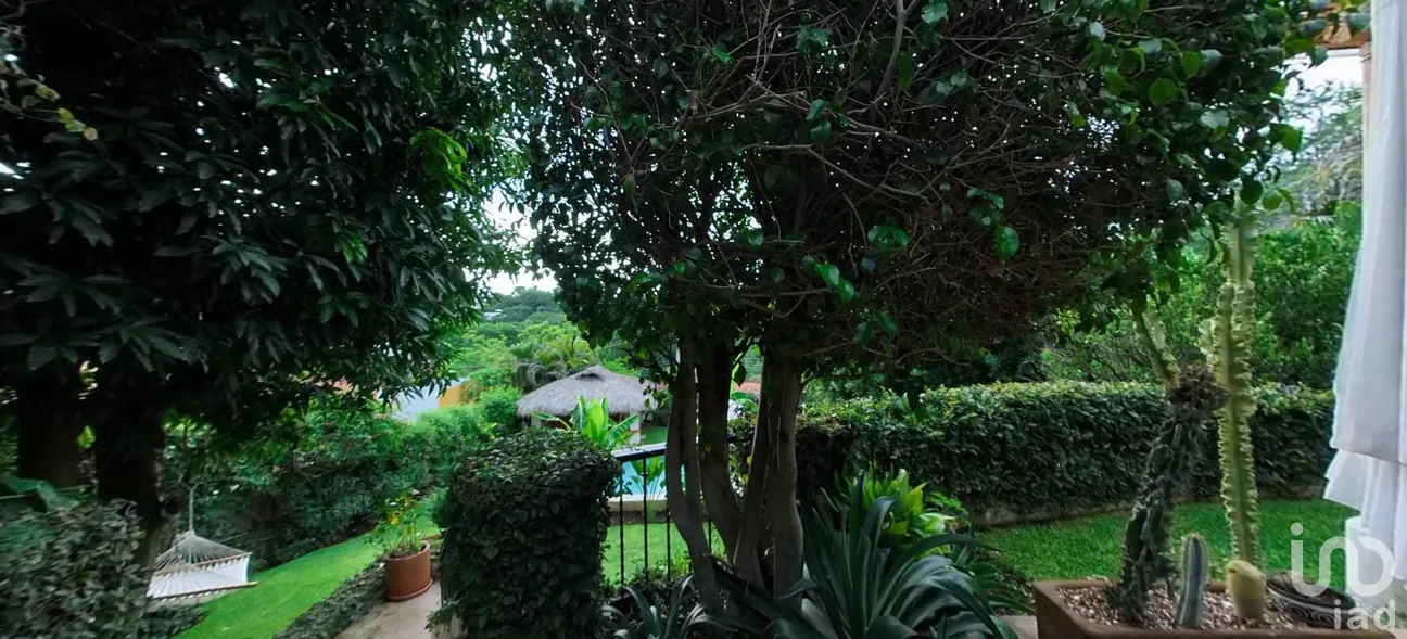 Casa en Venta en Alpuyeca, Xochitepec, Morelos | NEX-286802 | iad México | Foto 9 de 24