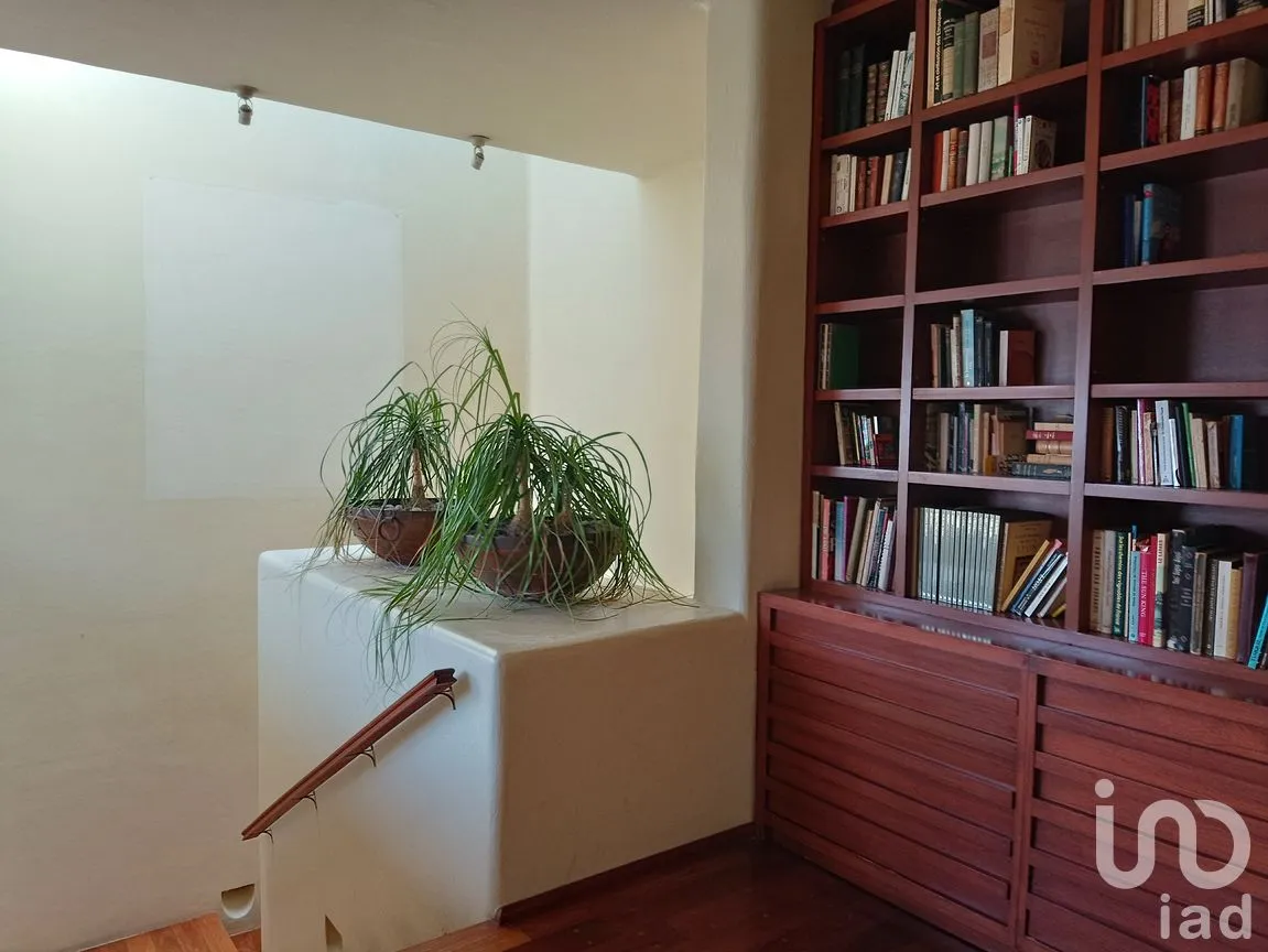 Casa en Venta en Lomas Altas, Miguel Hidalgo, Ciudad de México | NEX-292096 | iad México | Foto 12 de 37