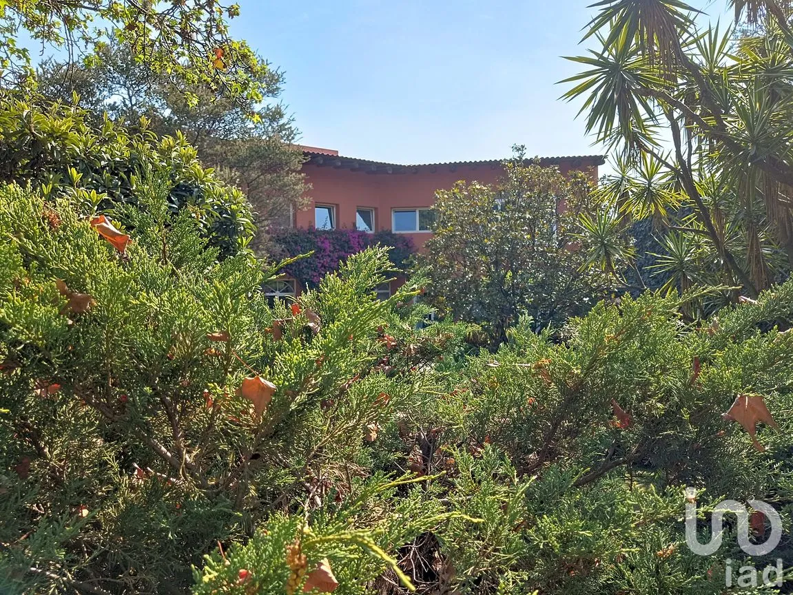 Casa en Venta en Lomas Altas, Miguel Hidalgo, Ciudad de México | NEX-292096 | iad México | Foto 37 de 37