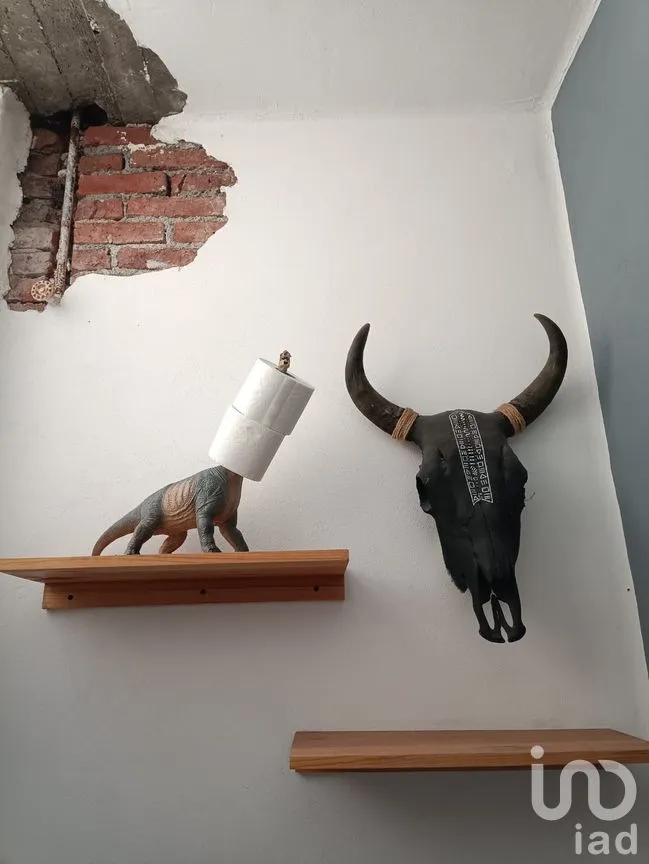 Edificio en Venta en Juárez, Cuauhtémoc, Ciudad de México | NEX-292099 | iad México | Foto 14 de 17