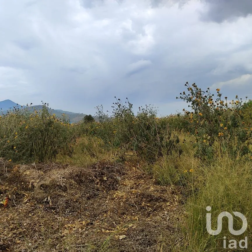Terreno en Venta en Colonial Coacalco, Coacalco de Berriozábal, México | NEX-185199 | iad México | Foto 11 de 15