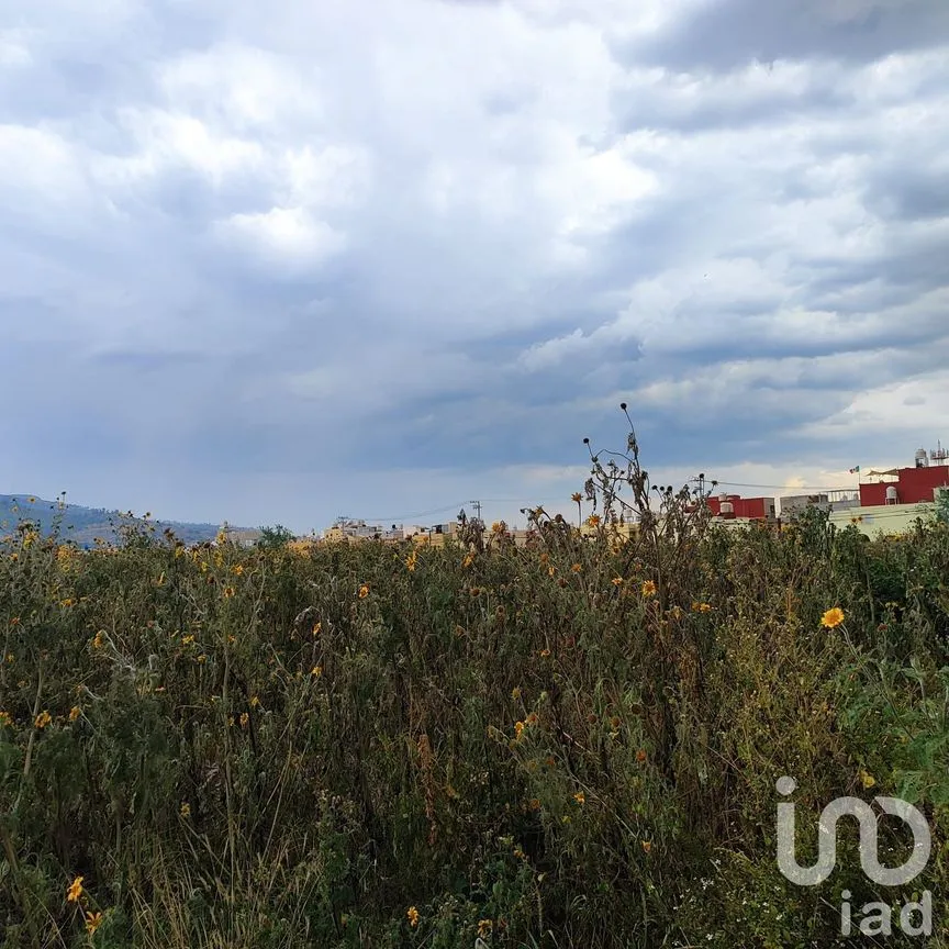 Terreno en Venta en Colonial Coacalco, Coacalco de Berriozábal, México | NEX-185199 | iad México | Foto 9 de 15