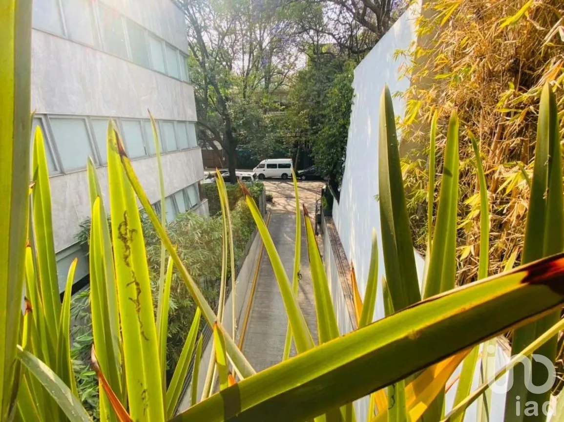 Departamento en Venta en Polanco IV Sección, Miguel Hidalgo, Ciudad de México | NEX-194651 | iad México | Foto 22 de 24
