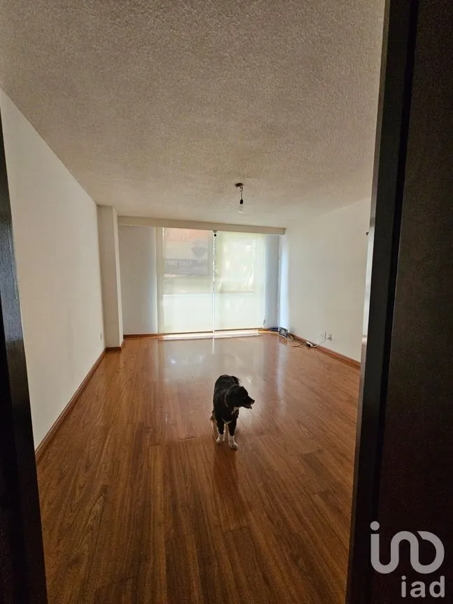 Departamento en Venta en Polanco I Sección, Miguel Hidalgo, Ciudad de México | NEX-203276 | iad México | Foto 15 de 30