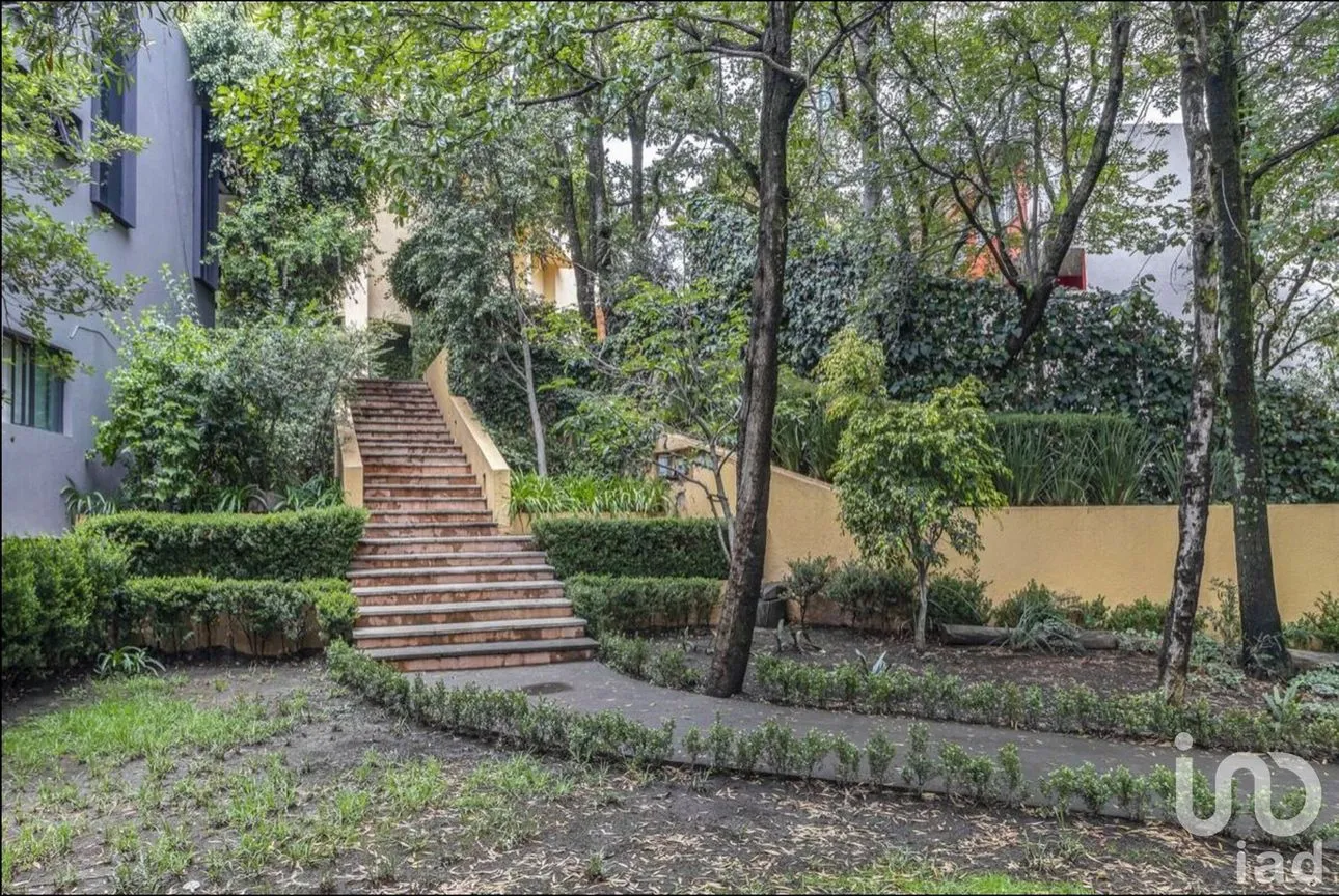 Casa en Venta en Bosque de las Lomas, Miguel Hidalgo, Ciudad de México | NEX-235555 | iad México | Foto 5 de 17