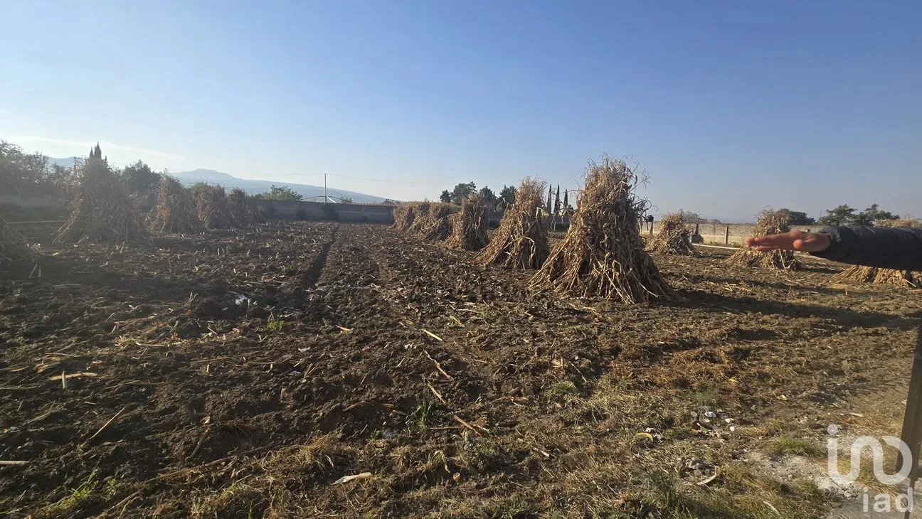 Terreno en Venta en San Juan Coxtocan, Tenango del Aire, México | NEX-265224 | iad México | Foto 2 de 10