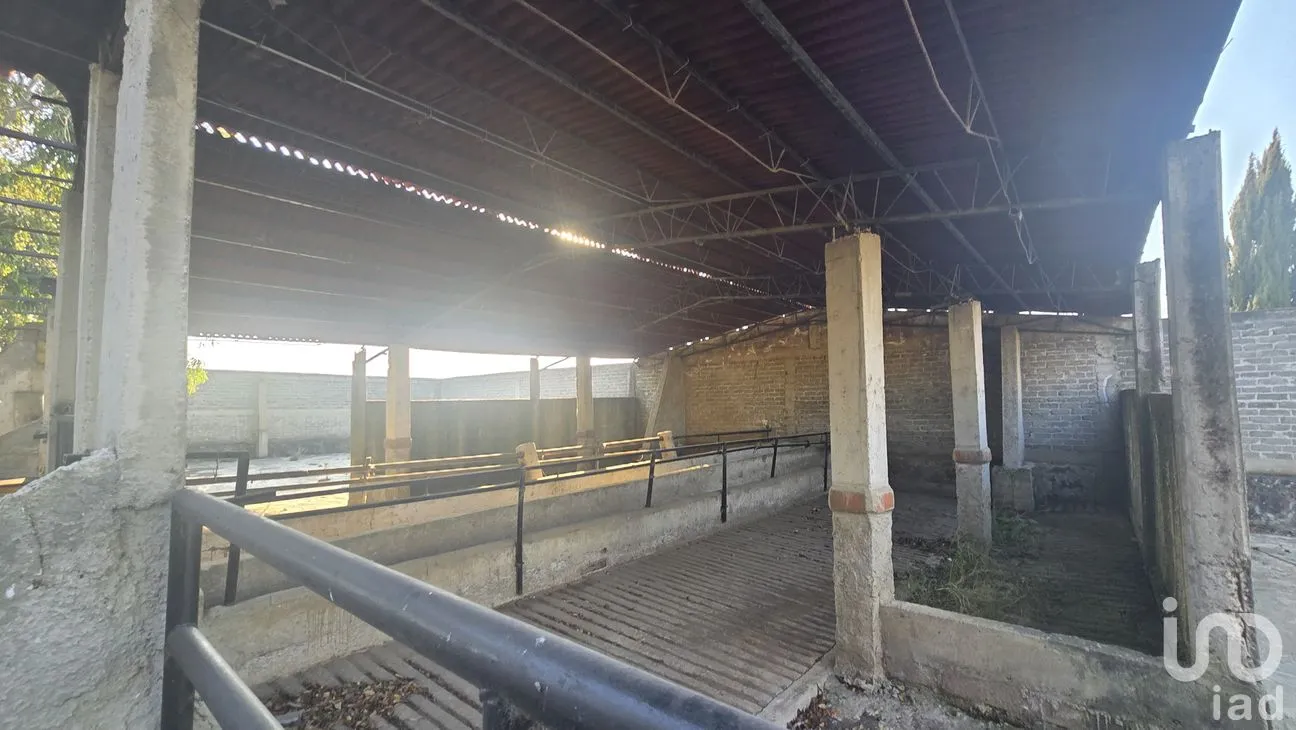 Terreno en Venta en San Juan Coxtocan, Tenango del Aire, México | NEX-265224 | iad México | Foto 5 de 10
