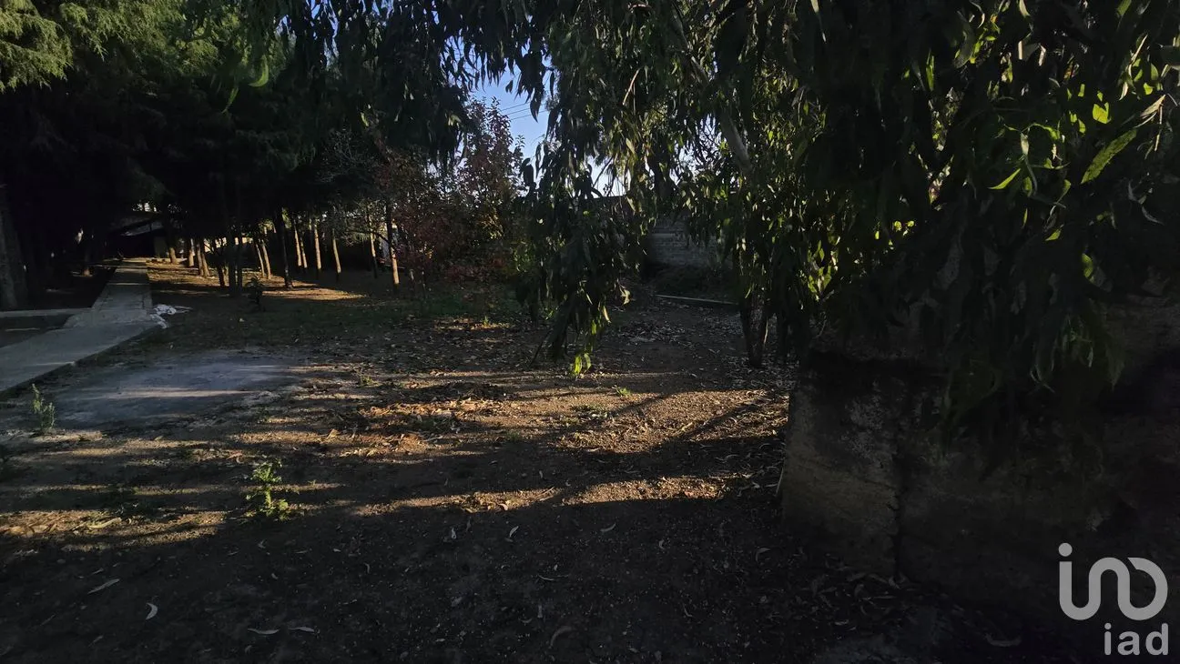 Terreno en Venta en San Juan Coxtocan, Tenango del Aire, México | NEX-265224 | iad México | Foto 7 de 10