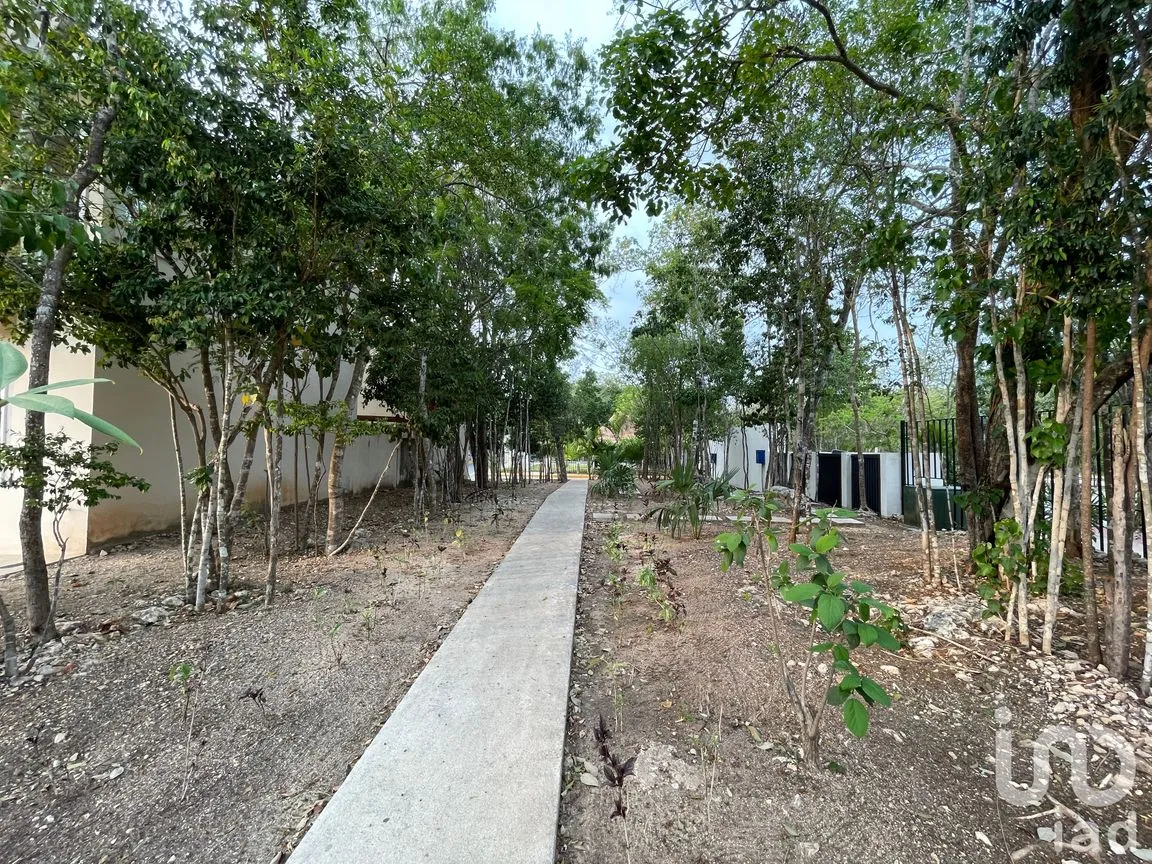 Casa en Renta en Ciudad Mayakoba, Solidaridad, Quintana Roo | NEX-171186 | iad México | Foto 12 de 35
