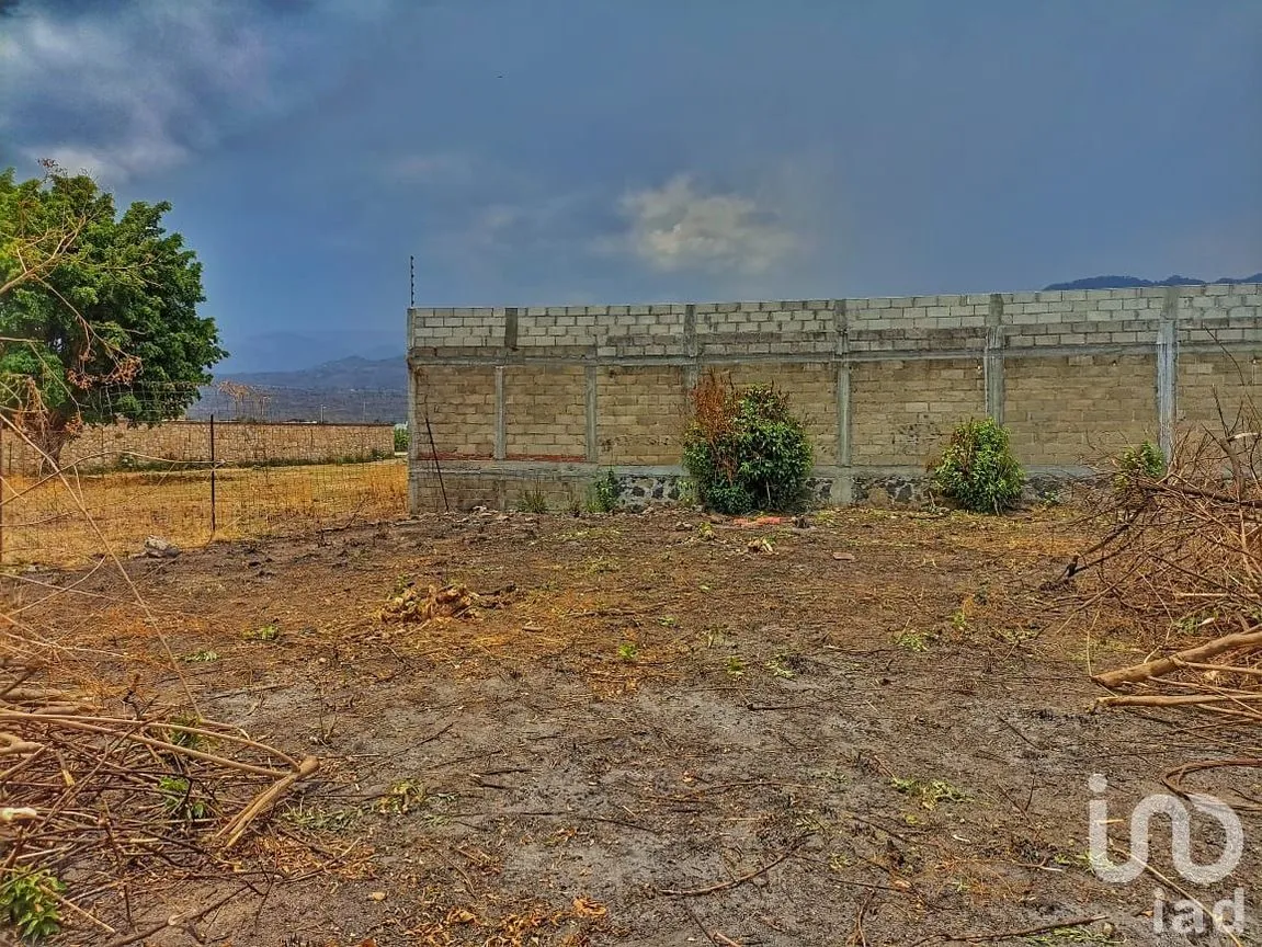 Terreno en Venta en Oacalco, Yautepec, Morelos | NEX-171337 | iad México | Foto 9 de 11