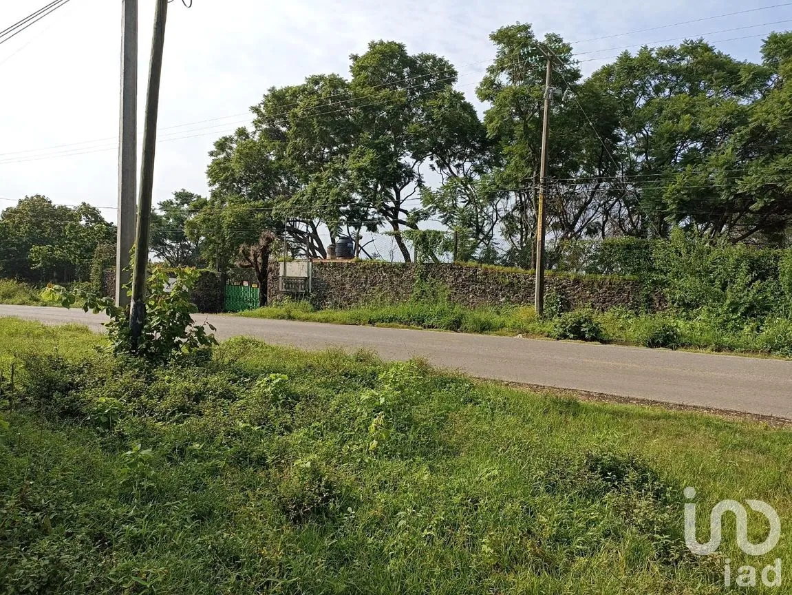 Terreno en Venta en Santiago Tepetlapa, Tepoztlán, Morelos | NEX-233442 | iad México | Foto 2 de 9