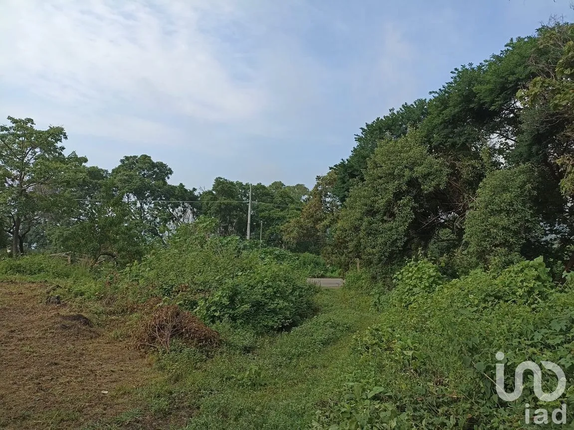 Terreno en Venta en Santiago Tepetlapa, Tepoztlán, Morelos | NEX-233442 | iad México | Foto 3 de 9