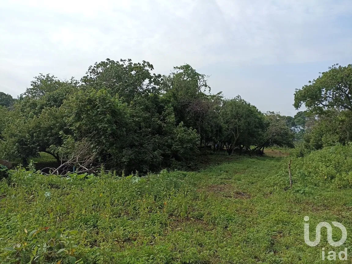 Terreno en Venta en Santiago Tepetlapa, Tepoztlán, Morelos | NEX-233442 | iad México | Foto 4 de 9