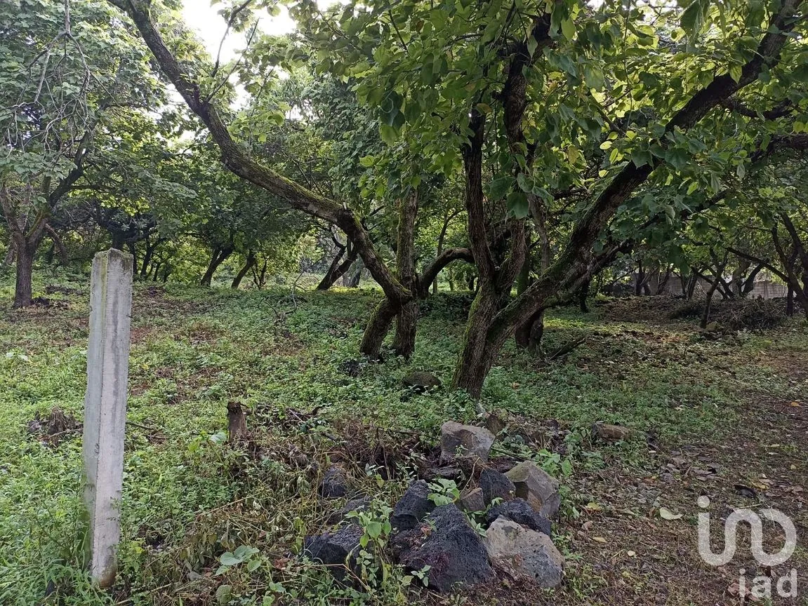 Terreno en Venta en Santiago Tepetlapa, Tepoztlán, Morelos | NEX-233442 | iad México | Foto 5 de 9