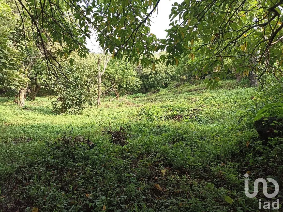 Terreno en Venta en Santiago Tepetlapa, Tepoztlán, Morelos | NEX-233442 | iad México | Foto 6 de 9