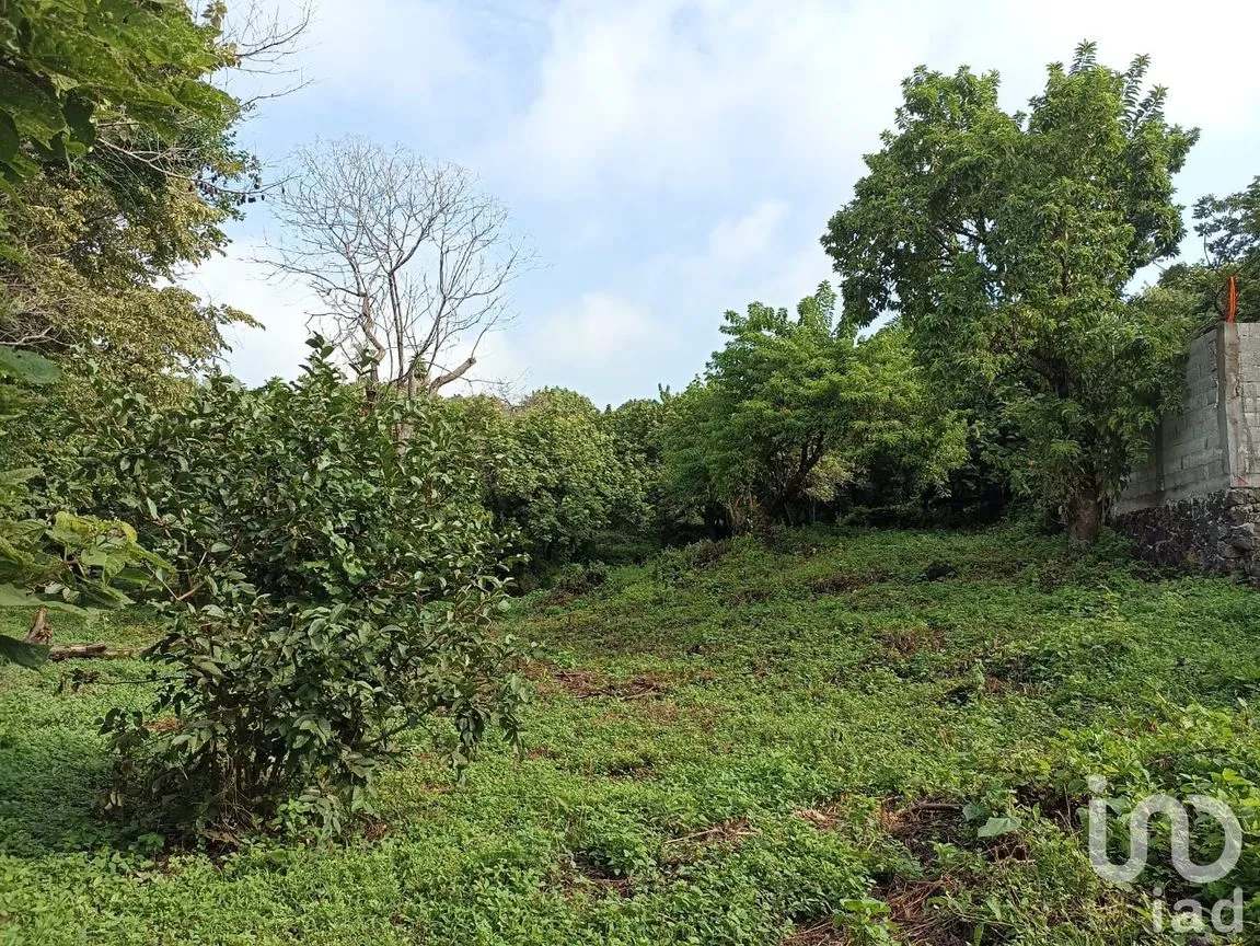Terreno en Venta en Santiago Tepetlapa, Tepoztlán, Morelos | NEX-233442 | iad México | Foto 7 de 9