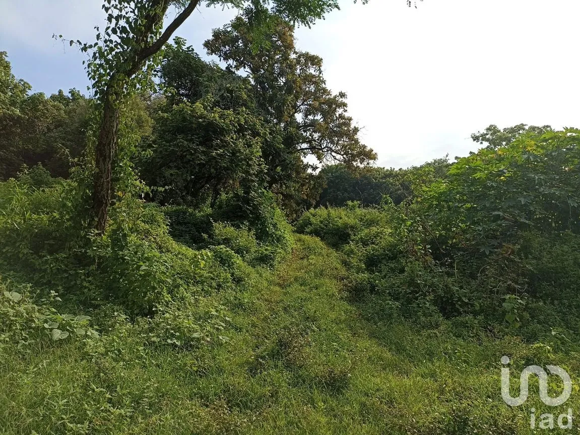 Terreno en Venta en Santiago Tepetlapa, Tepoztlán, Morelos | NEX-233442 | iad México | Foto 8 de 9