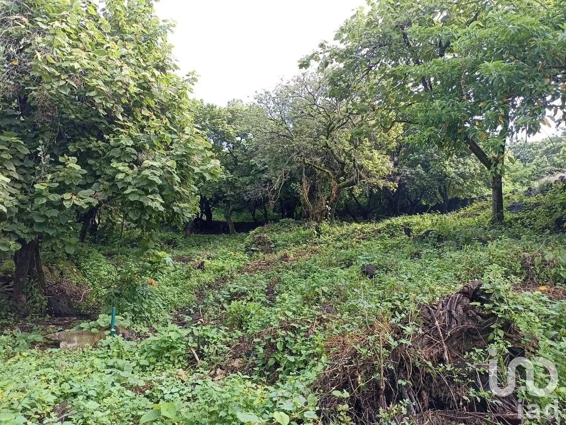 Terreno en Venta en Santiago Tepetlapa, Tepoztlán, Morelos | NEX-233442 | iad México | Foto 9 de 9