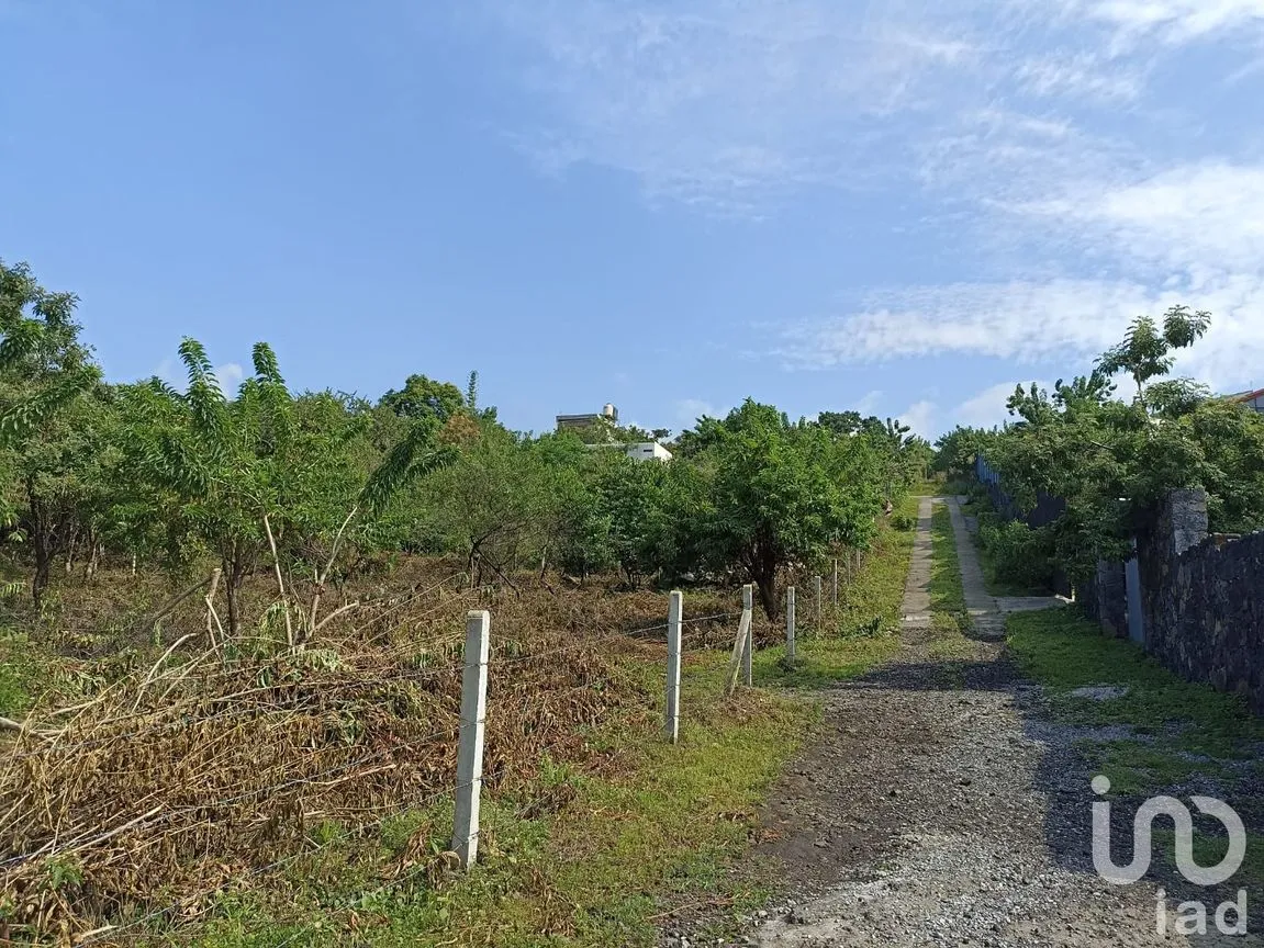 Terreno en Venta en Del Carmen, Tepoztlán, Morelos | NEX-233450 | iad México | Foto 2 de 8