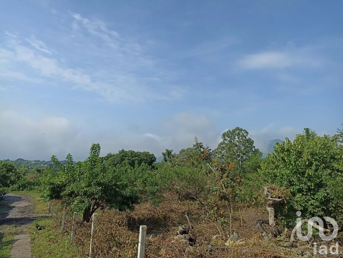Terreno en Venta en Del Carmen, Tepoztlán, Morelos | NEX-233450 | iad México | Foto 3 de 8