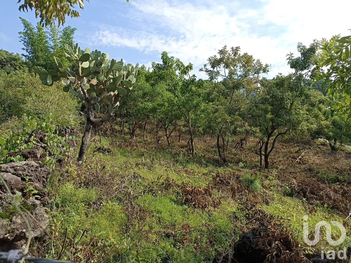 Terreno en Venta en Del Carmen, Tepoztlán, Morelos | NEX-233450 | iad México | Foto 4 de 8
