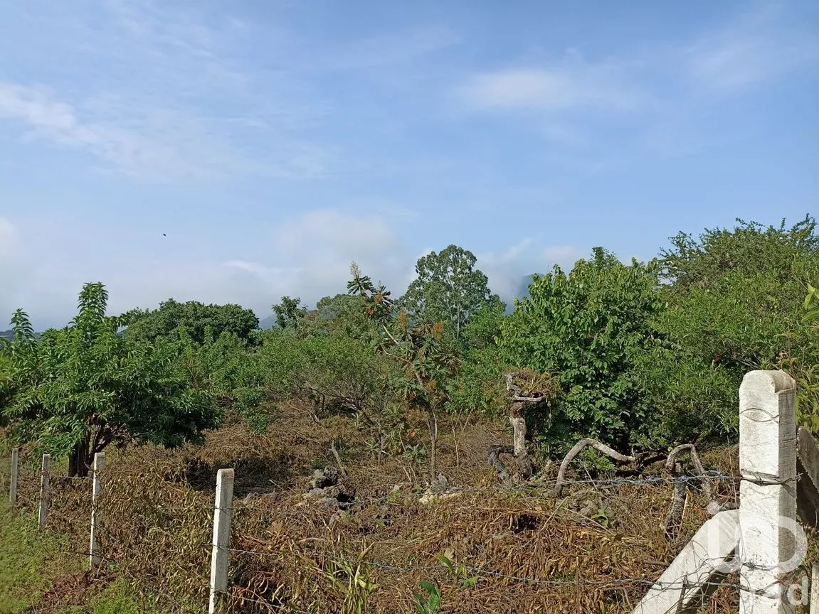 Terreno en Venta en Del Carmen, Tepoztlán, Morelos | NEX-233450 | iad México | Foto 5 de 8