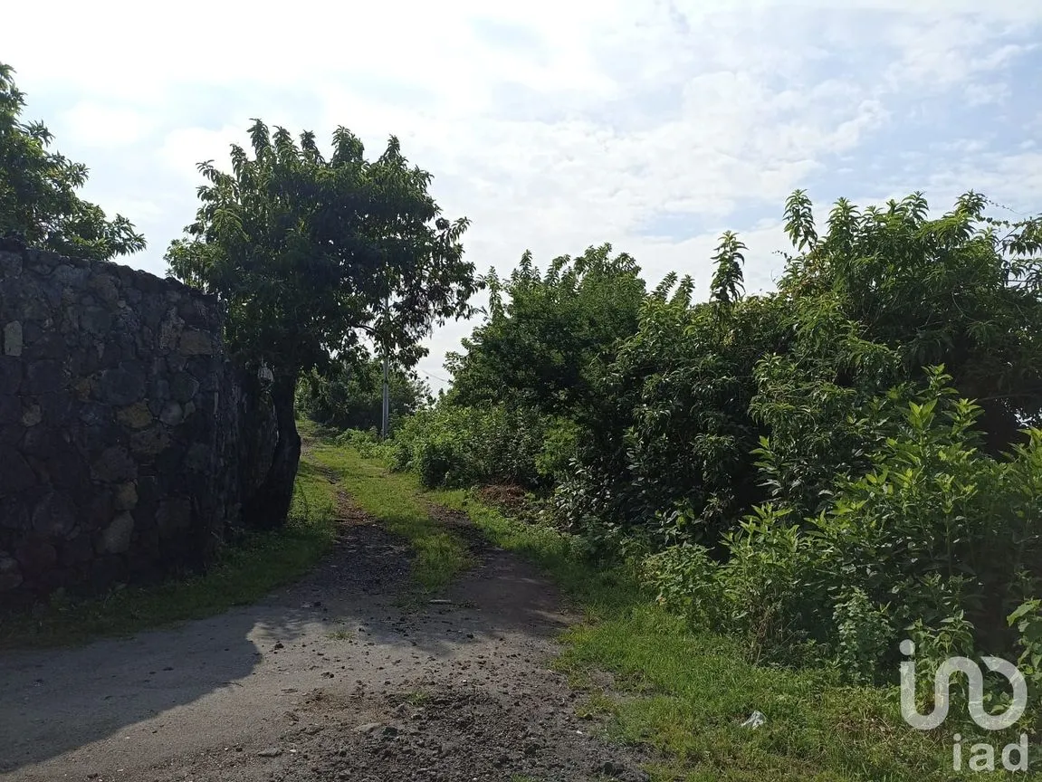 Terreno en Venta en Del Carmen, Tepoztlán, Morelos | NEX-233450 | iad México | Foto 7 de 8