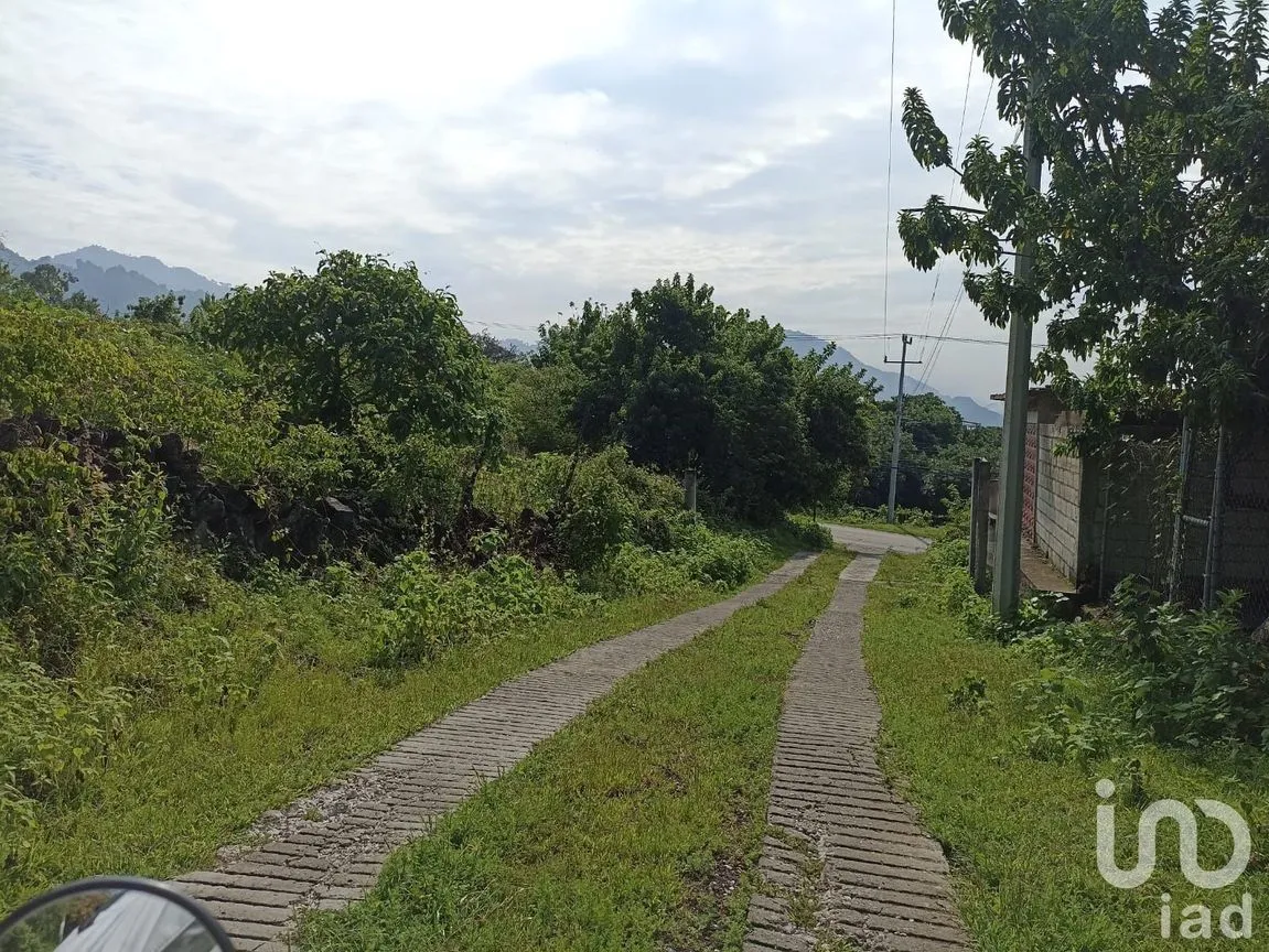 Terreno en Venta en Del Carmen, Tepoztlán, Morelos | NEX-233450 | iad México | Foto 8 de 8