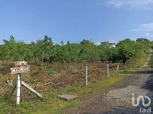 NEX-233450 - Terreno en Venta en Del Carmen, CP 62524, Morelos.