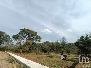 NEX-294444 - Terreno en Venta en Chiquilistlan, CP 48640, Jalisco.