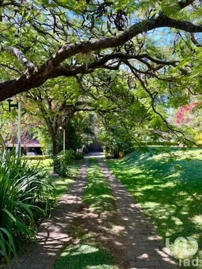 Casa en Venta en Rancho Cortes, Cuernavaca, Morelos | NEX-239884 | iad México | Foto 14 de 80