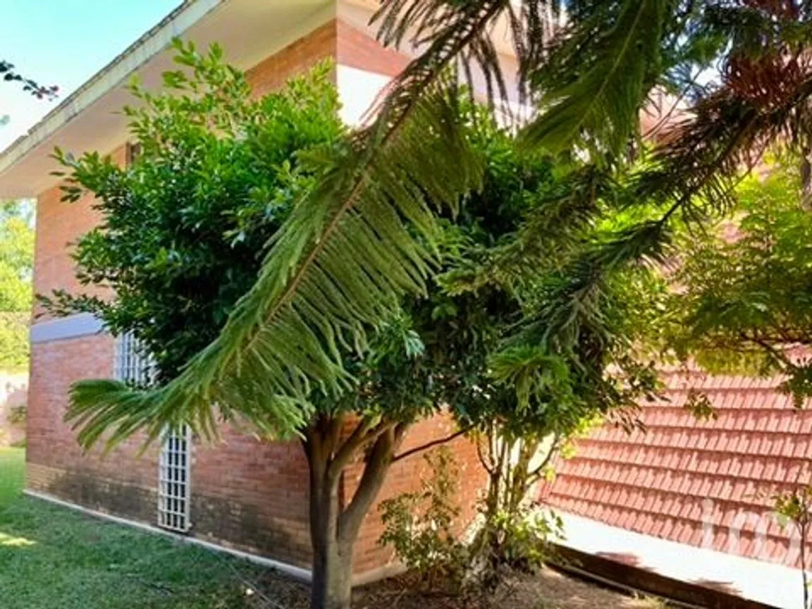 Casa en Renta en Rancho Cortes, Cuernavaca, Morelos | NEX-239891 | iad México | Foto 35 de 44