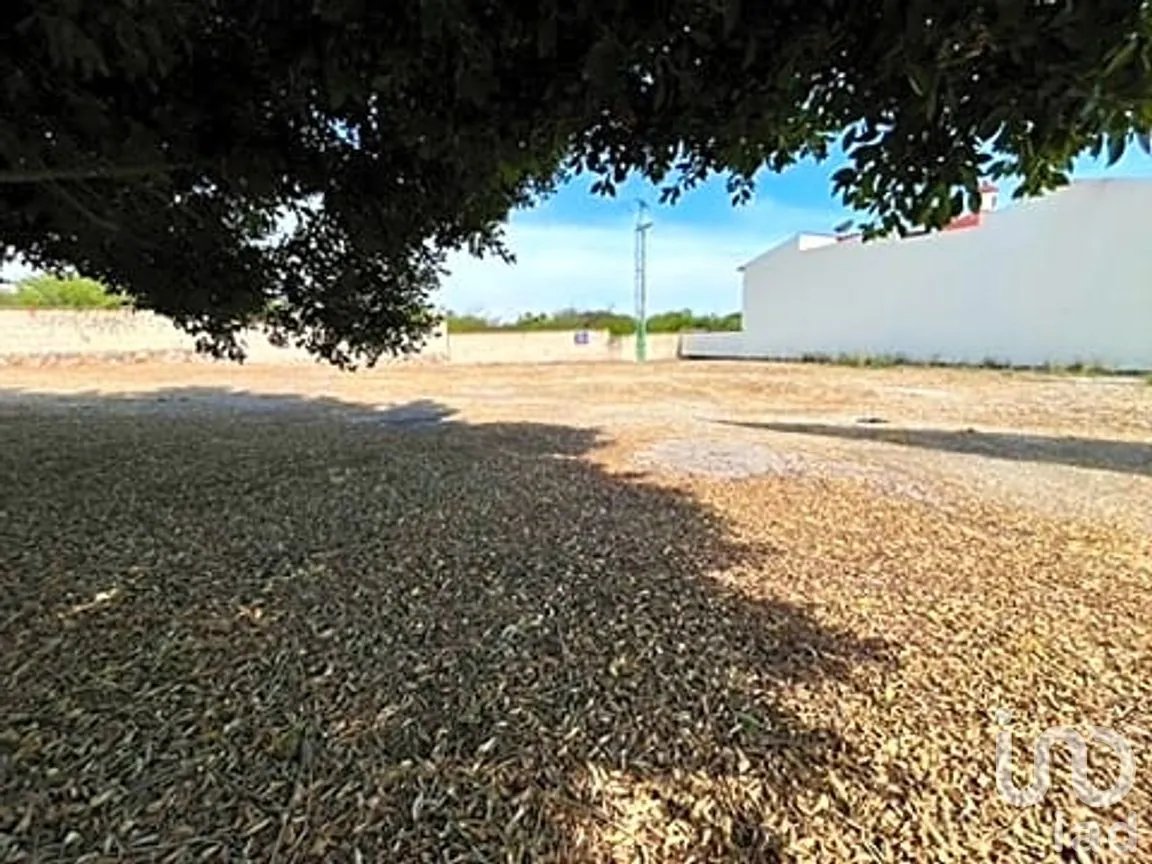 Terreno en Venta en Bernal, Ezequiel Montes, Querétaro | NEX-246022 | iad México | Foto 4 de 15