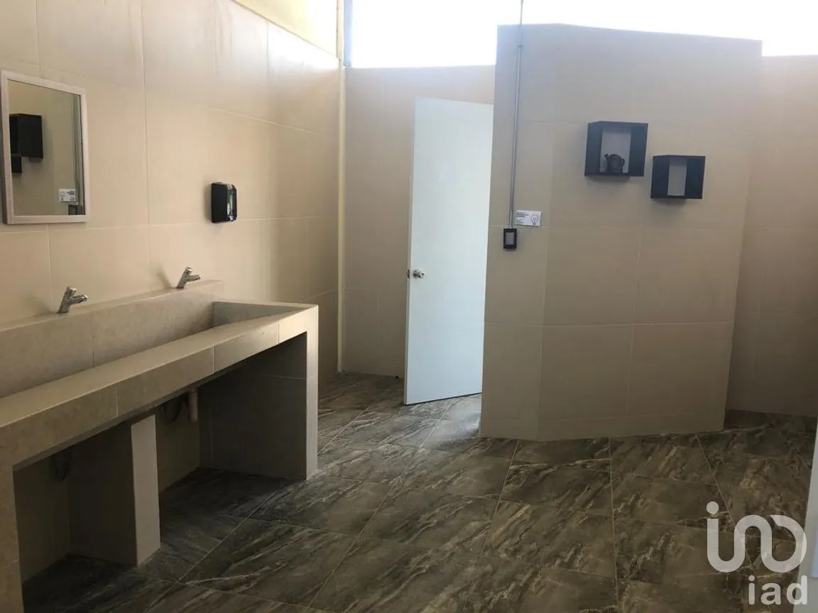 Oficina en Renta en San Miguel, Metepec, México | NEX-171679 | iad México | Foto 12 de 16