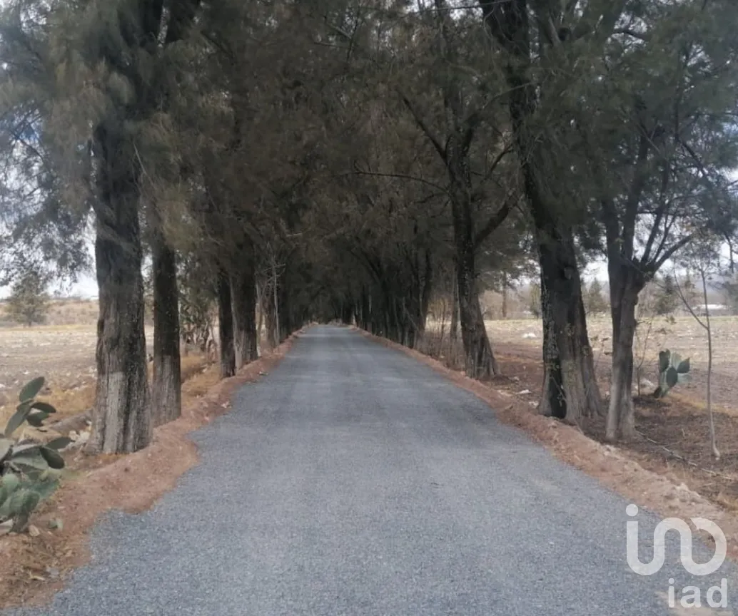 Terreno en Venta en Apapátaro, Huimilpan, Querétaro | NEX-177028 | iad México | Foto 2 de 7