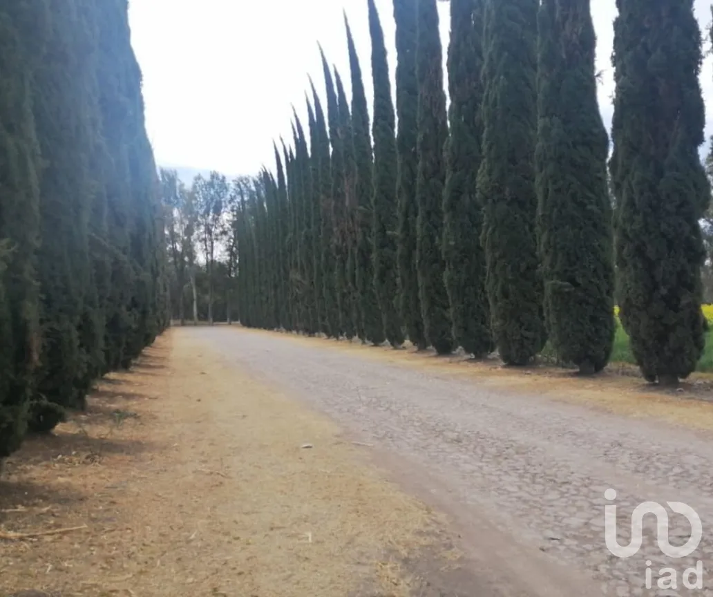 Terreno en Venta en Apapátaro, Huimilpan, Querétaro | NEX-177028 | iad México | Foto 5 de 7