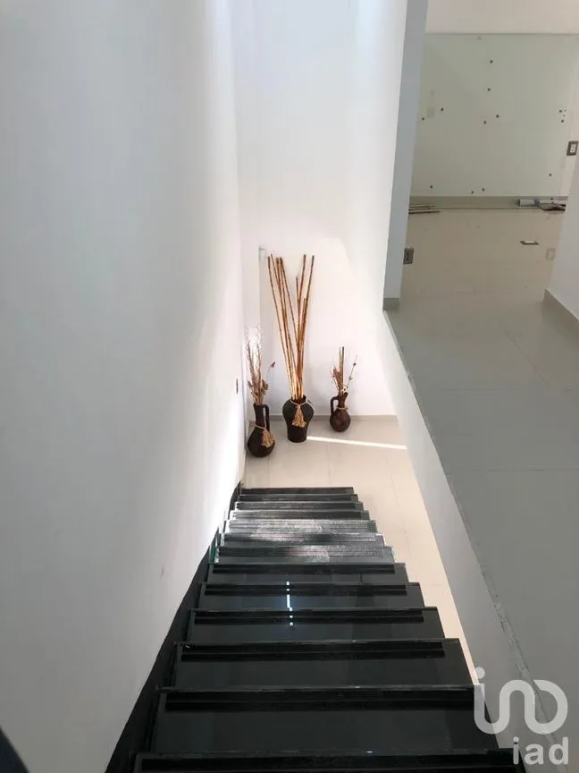 Local en Venta en Cumbres del Lago, Querétaro, Querétaro | NEX-184068 | iad México | Foto 10 de 19